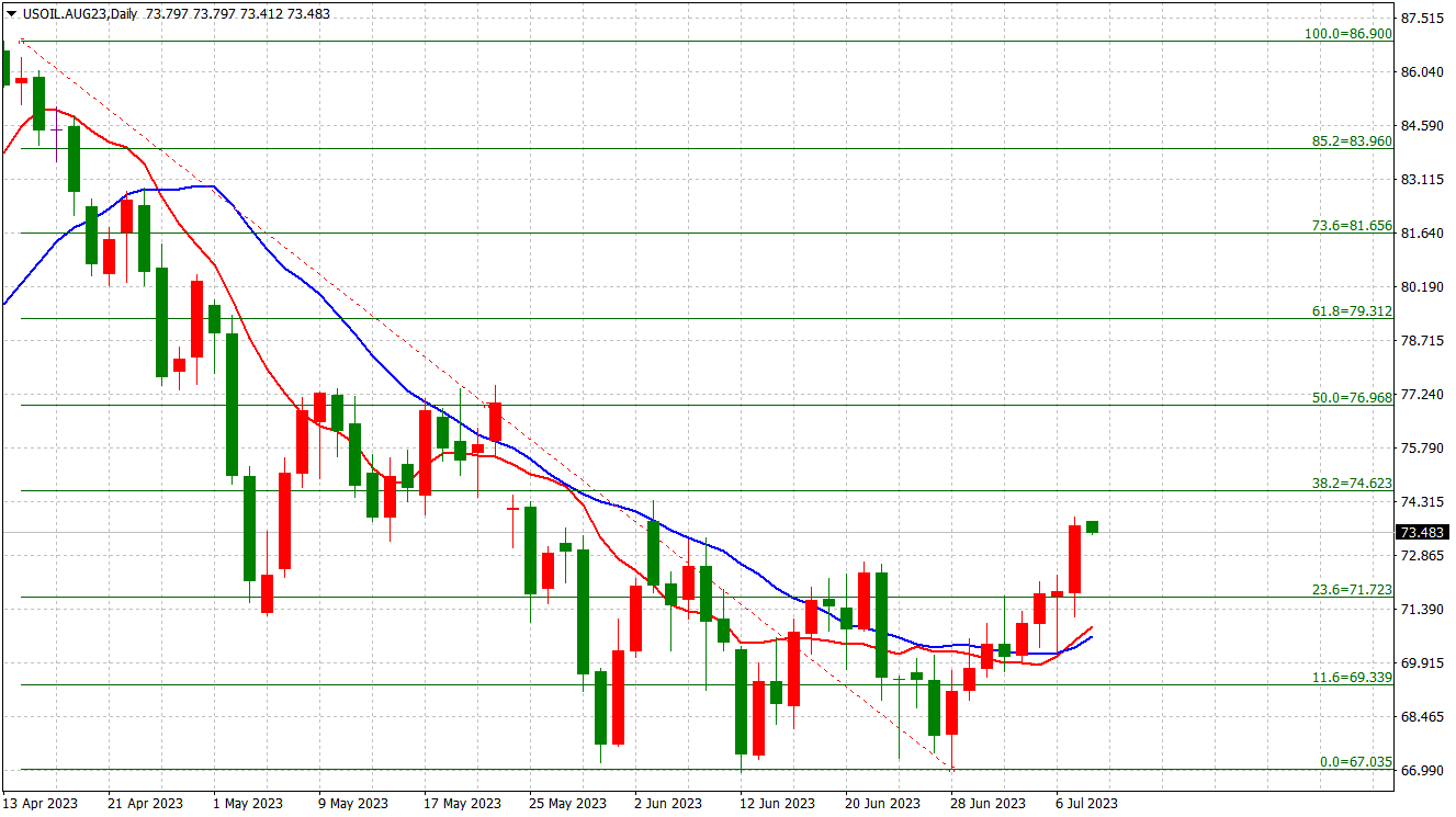 USOIL: Daily Chart