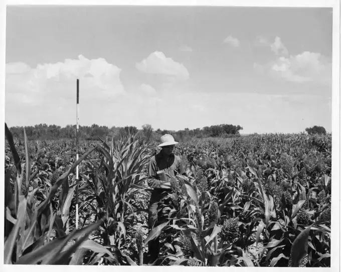 black and white photo man doing plantation