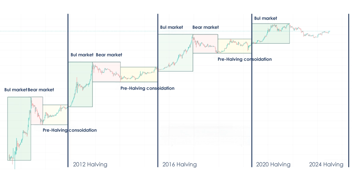 past bitcoin halving event